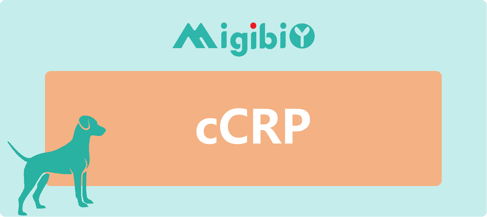 Migi (dog) Canine C-reactive Protein (cCRP) Rapid Quantitative Test